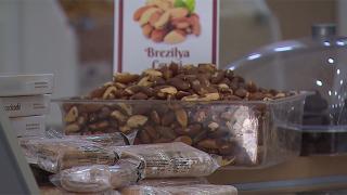 Şifa deposu "Brezilya cevizi"