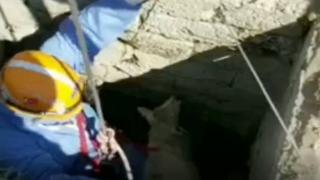 Kuyuya düşen kuzuyu AFAD kurtardı