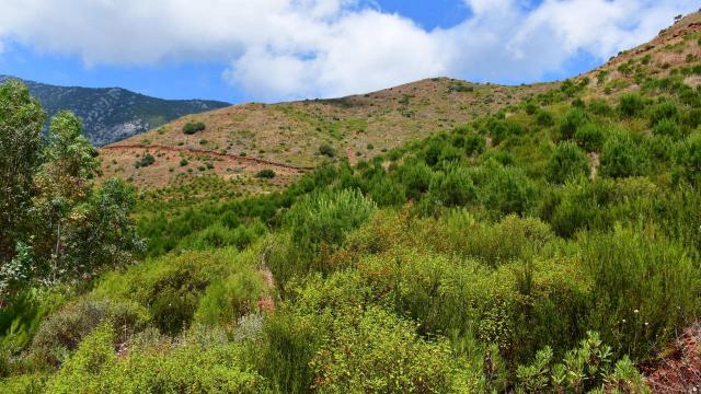 Tekirdağda yangına karşı havadan ve karadan denetim