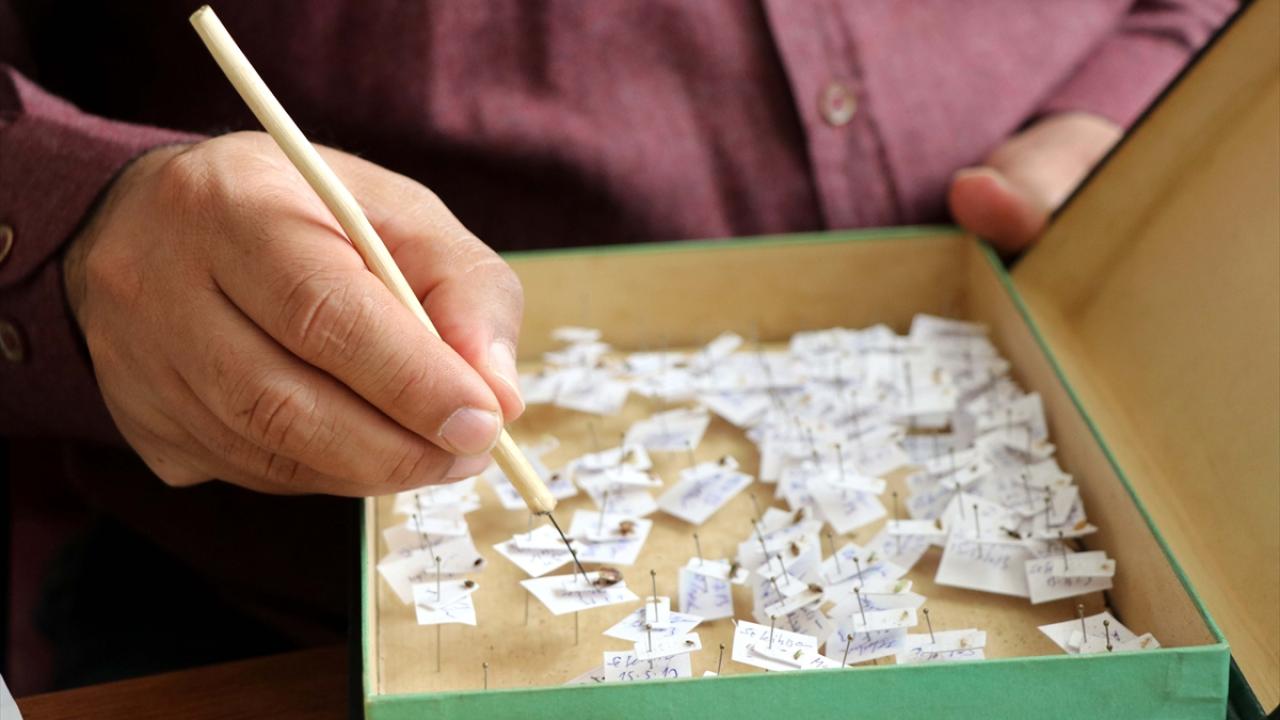 "Türkiye faunasına kazandırdığımız pek çok tür var"