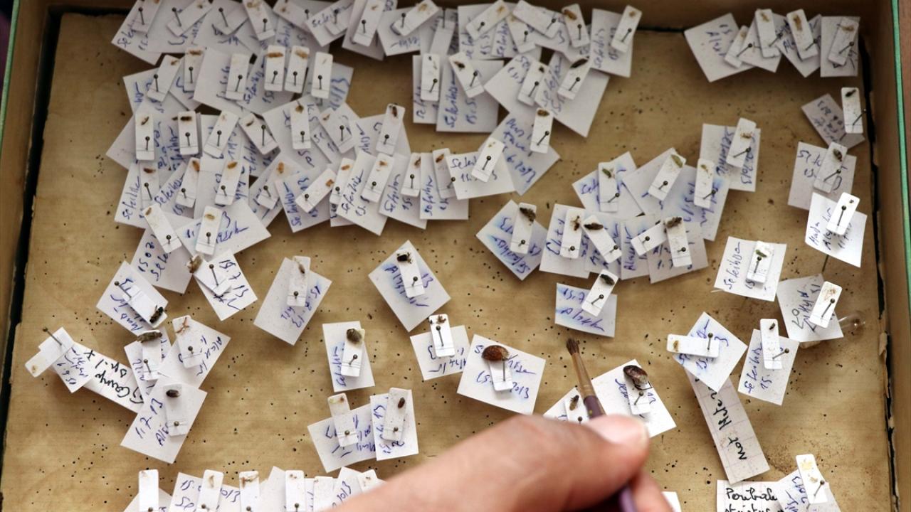 "Rahat bir şekilde araziye çıkıyoruz"