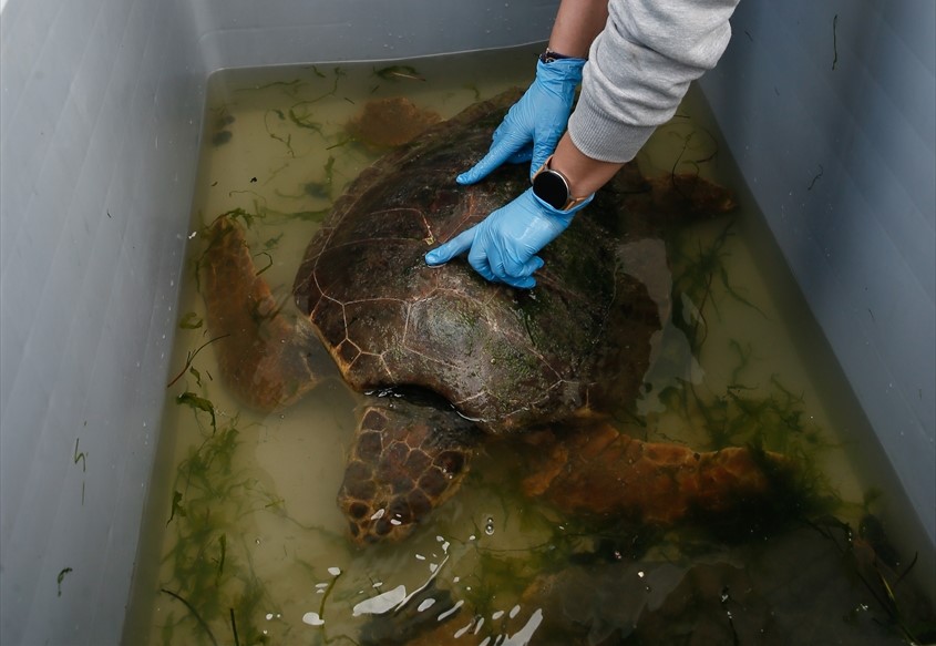 "Ateşli silahla vurulan hiç gelmemişti"
