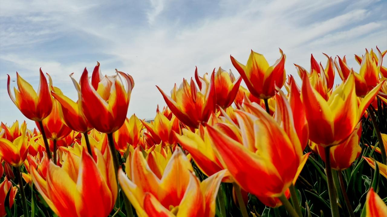 "Üretim alanını 3-4 katına yeniden çıkaracağız"