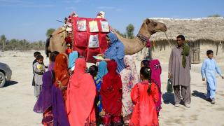 Pakistan'da "gezici deve kütüphane" çocukları kitapla buluşturuyor