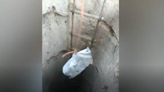 Su kuyusuna düşen kedi kurtarıldı