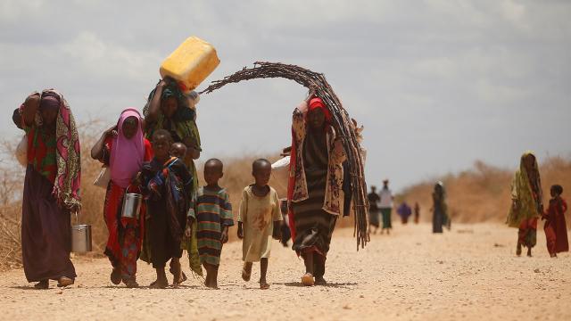 BMden kuraklık açıklaması: Somalide 1 milyondan fazla kişi göç edebilir