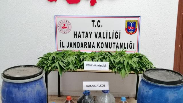 Hatayda uyuşturucu ve kaçak içki operasyonu: 1 gözaltı