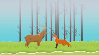 Ekolojik yıkım: Biyokaçakçılık