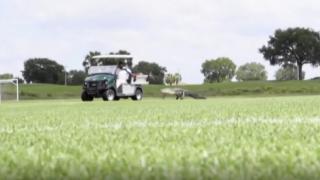 Toronto oyuncularının antrenmanına "timsah" geldi