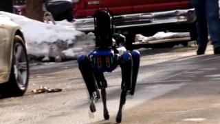 Robot köpek "Digidog"un görevi sonlandırıldı