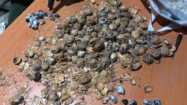 Ceviz kabuklarına gizlenmiş 153 kilo afyon sakızı ele geçirildi