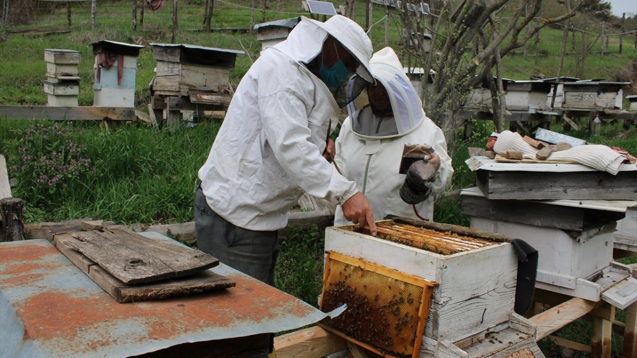 "Arıcılık yapmak zor ve zahmetli bir meslek"