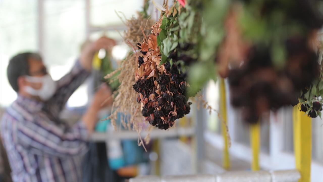 "Karagülün tescilini ilimize ve ilçemize kazandırdık"