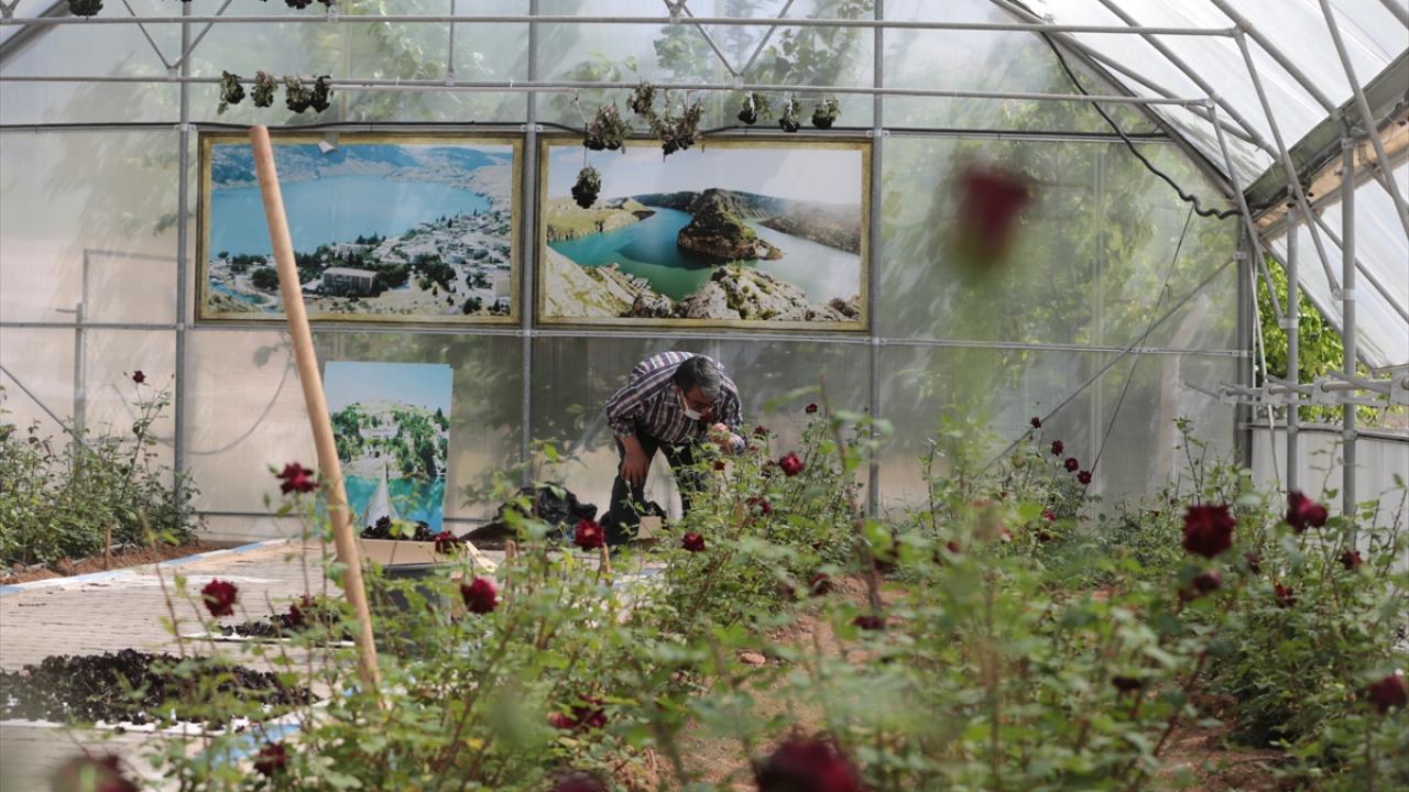 "Karagülün rengini tam olarak bulduğu dönemdeyiz"