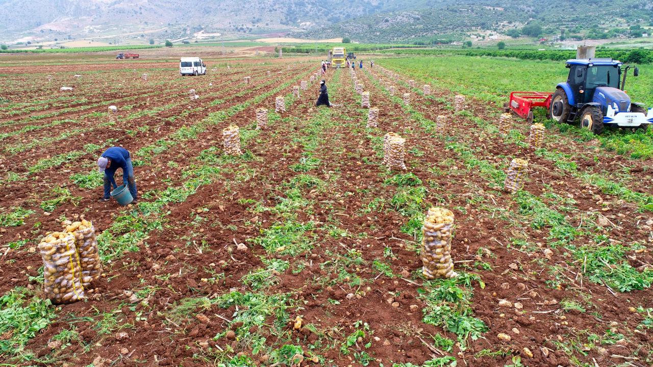 “Fiyatlar böyle devam ederse çiftçi para kazanacak”
