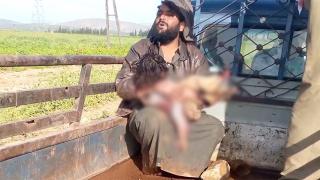 Terör örgütü PKK/YPG yine sivilleri hedef aldı: 1 ölü, 2 yaralı