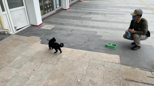 Kırşehirde polis ekipleri sokak hayvanlarına mama, süt ve su bıraktı