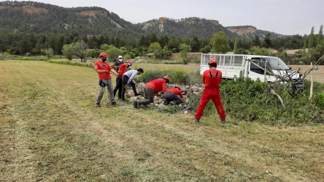 Denizlide su kuyusuna düşen iki çakal kurtarıldı