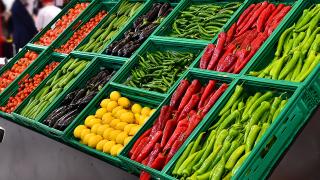 Beslenmede yeni arayışlar: Her 10 kişiden 1'i vegan olabilir