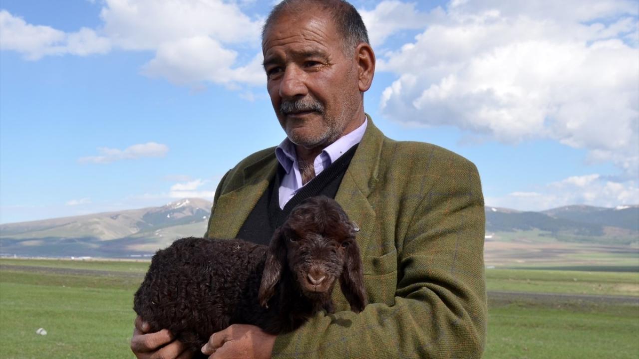 "Daha iyi bakabilmek için eve götürüyorum"