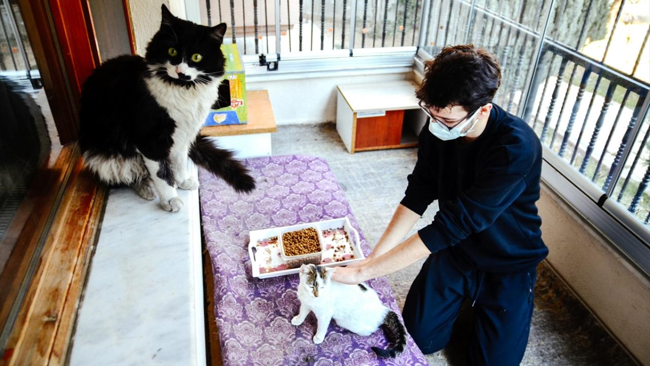 "Benden görüp beslemeye yardım edenler oluyor"