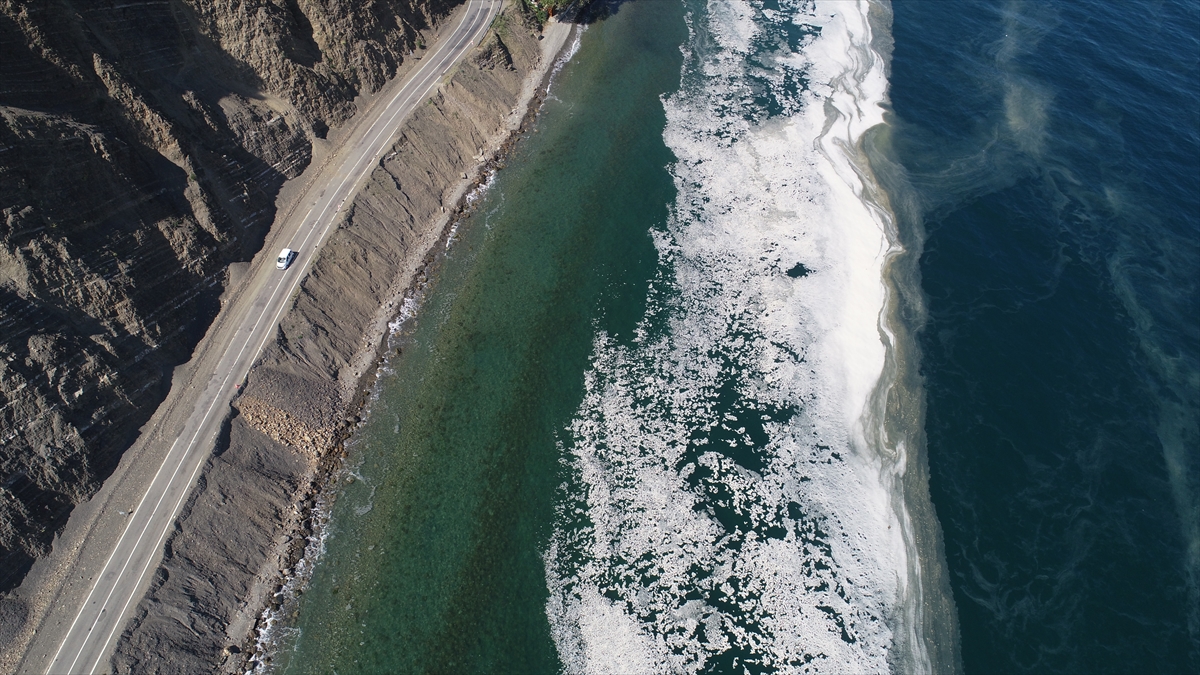 Balıkçıların korkulu rüyası haline geldi