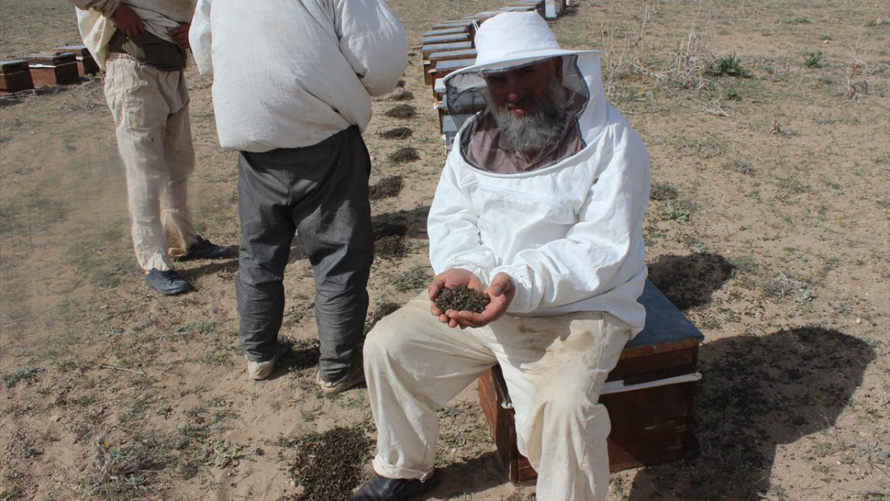 "Arısız hayat olmaz, arısız dünya olmaz"