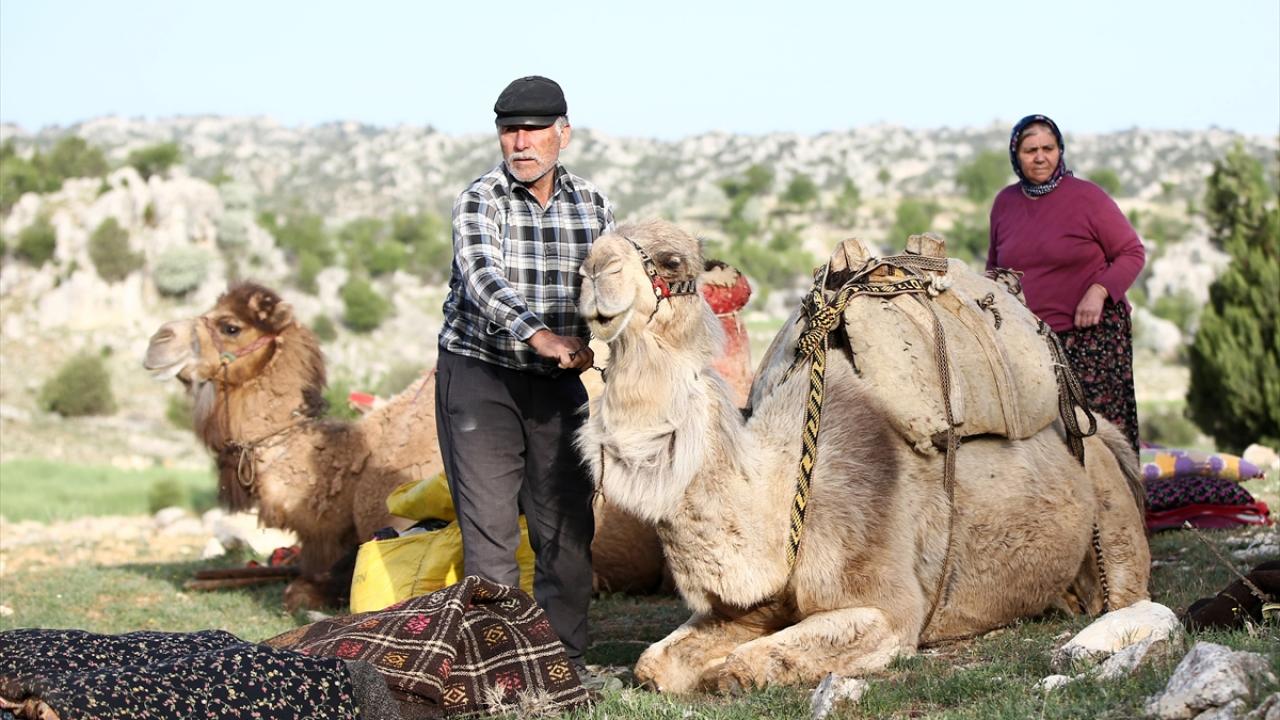 Göç 20-25 gün sürüyor