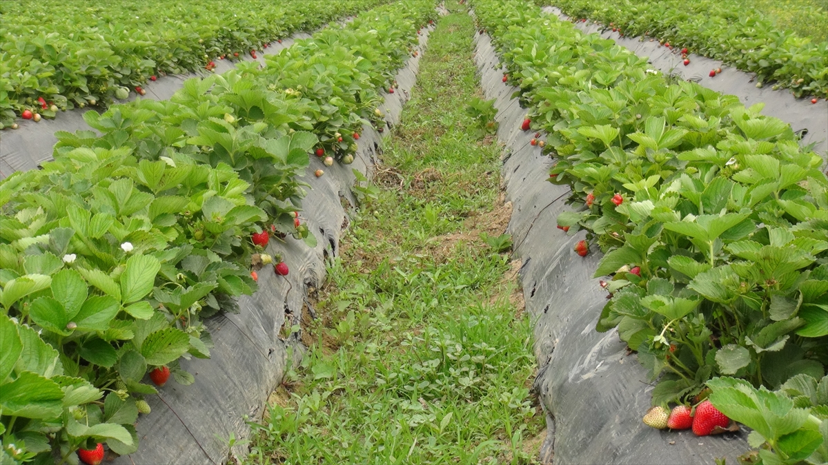 "15`ten fazla ülkeye ihracat yapıyoruz"