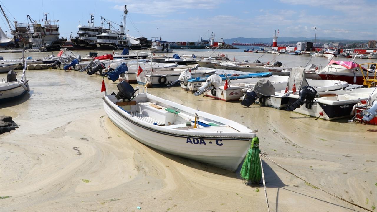 "Bu beyaz tabaka bütün Marmara`da var"