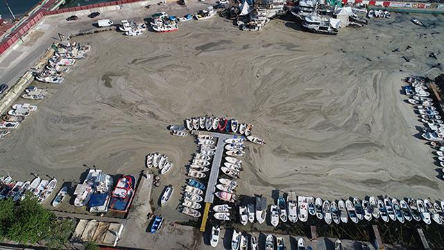 Tekirdağda tekne balıkçılarına "deniz salyası" engeli