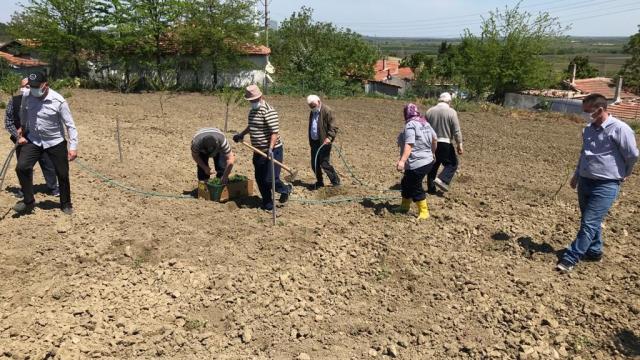 Edirnede huzurevi sakinlerinin hareketliliklerini artırmak amacıyla tarımsal faaliyetler düzenleniyor