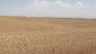 Irak'ta kuraklık tehlikesi