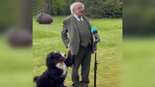 İrlanda Cumhurbaşkanının zor anları