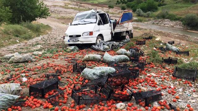 Adıyamanda kamyonet şarampole devrildi: 2 yaralı