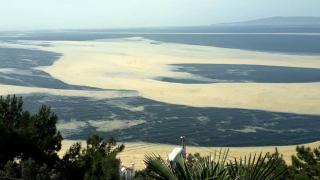 Deniz salyasını önlemek mümkün mü?