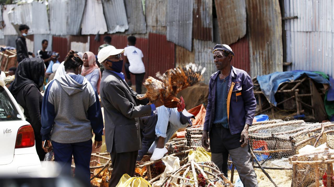 En kalabalık ülkelerin dünya nüfusundaki tahmini payı (2021)