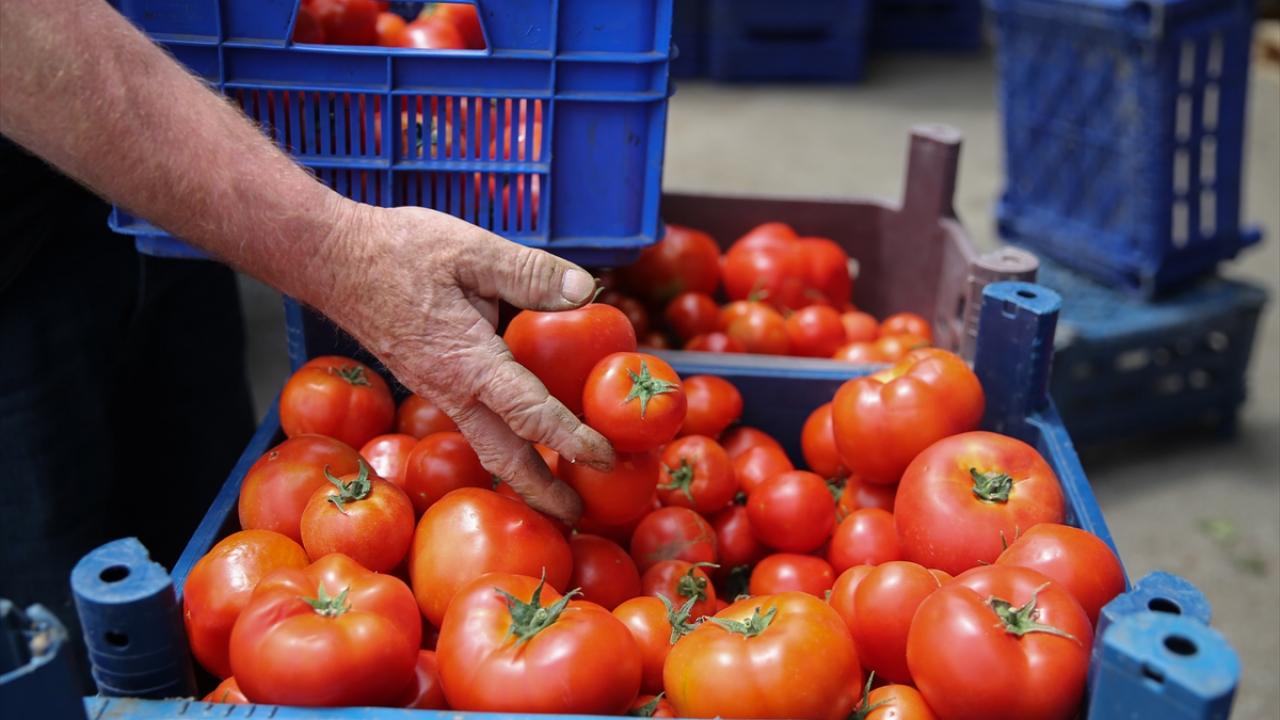 Antalya�da, �pazar yeri genelgesi� hareketliliği yaşanıyor TRT Haber