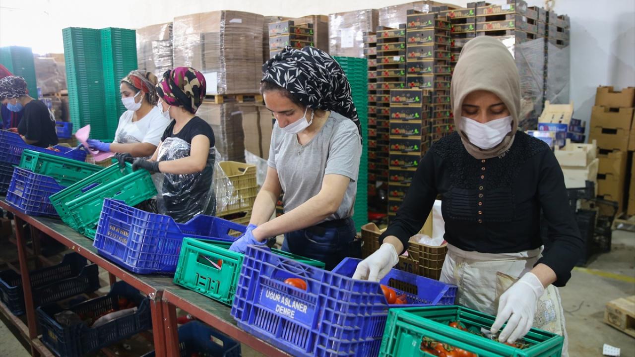 "Karar hemen fiyatlara yansıdı"