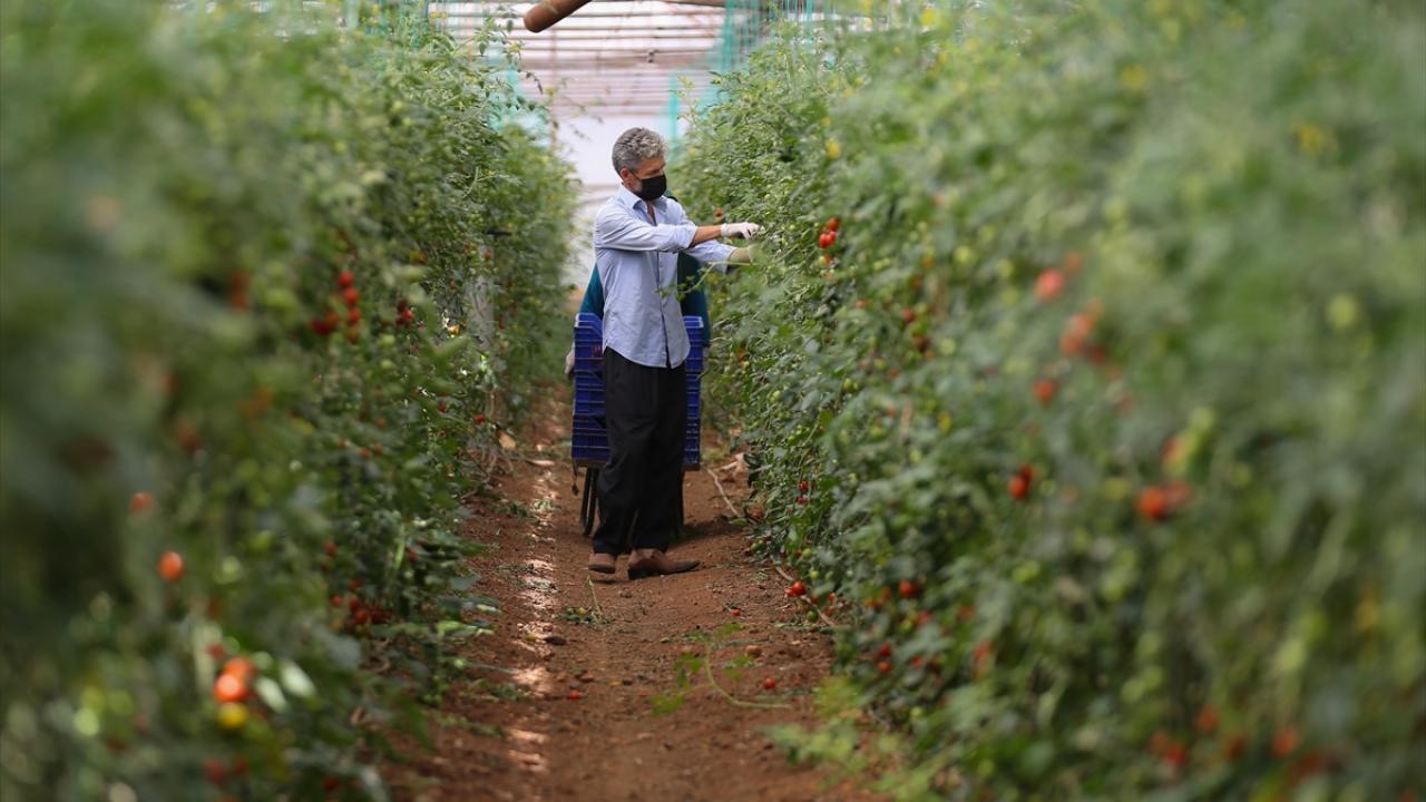 "Avrupa`nın da tarımda başkentiyiz"