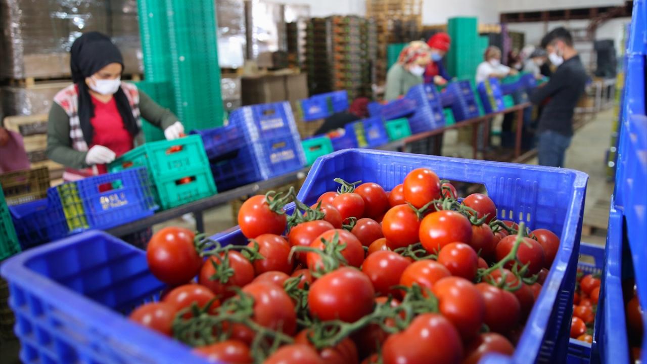 "Paketleme tesisindeki işçi sayısı 4-5 kat arttı"