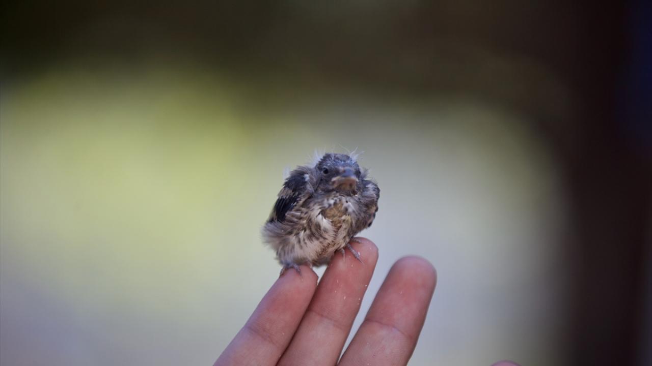 "Görevimizi en iyi şekilde yaptığımızı düşünüyoruz"