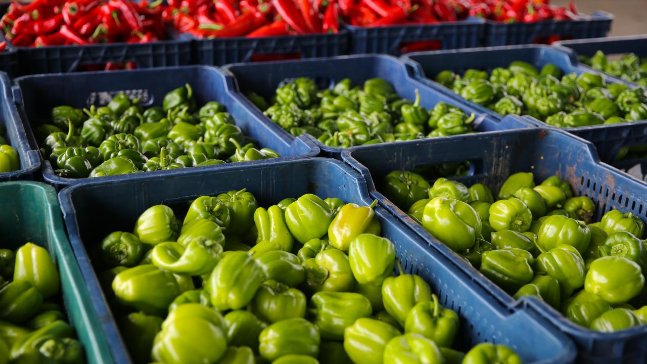 İLAVE ALANLAR OLUŞTURULACAK