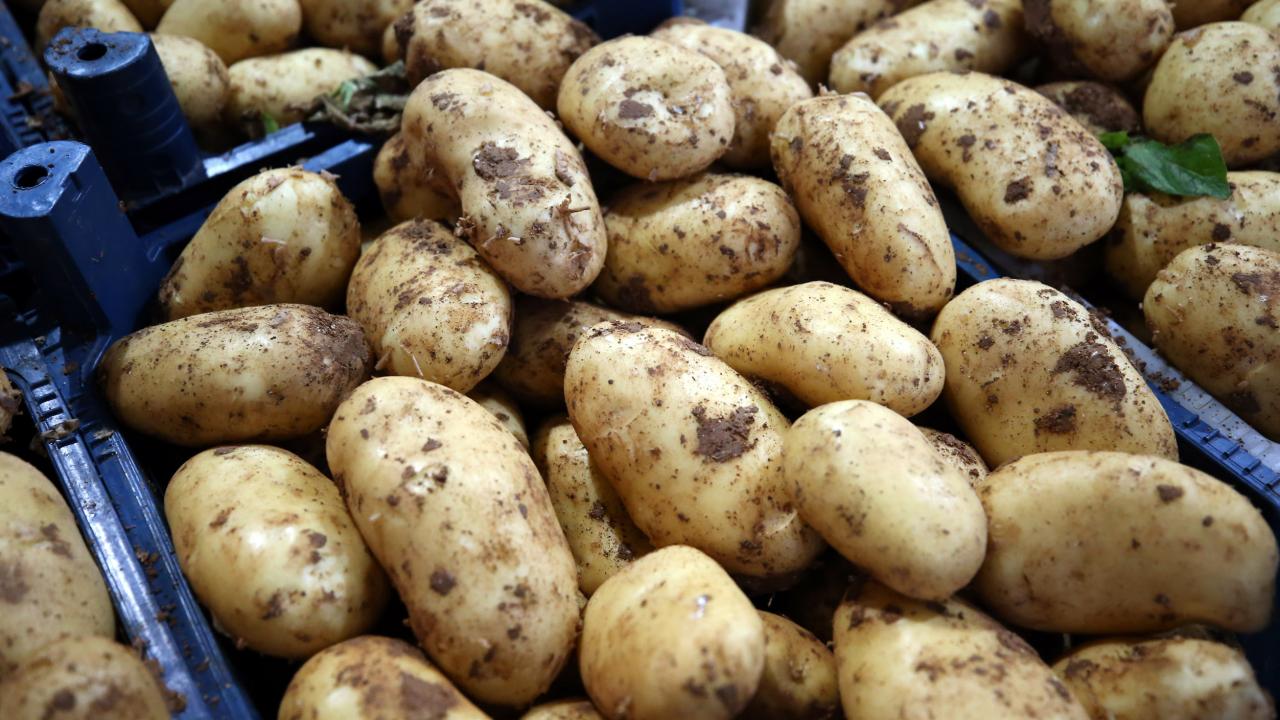 TEZGAHLAR ARASI 3 METRE OLACAK