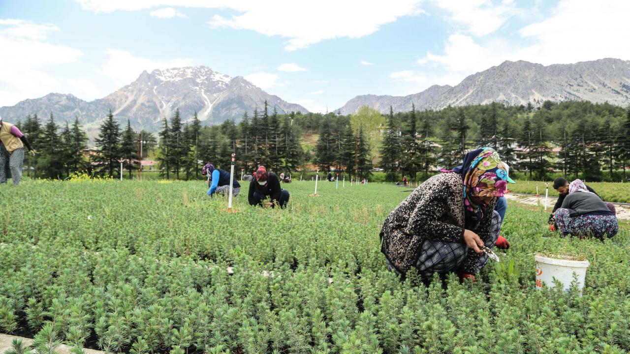 "Sevgimizi ve şefkatimizi vererek daha çok verim alıyoruz"