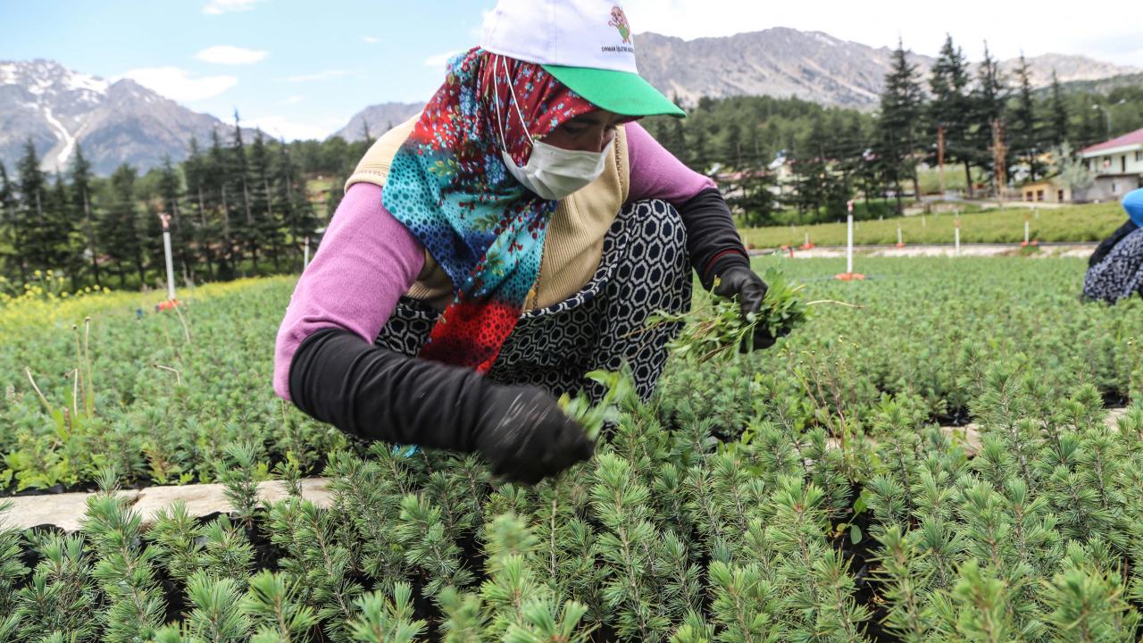 İşlerini gönülden yaptıklarını vurgulayan Aslan, şöyle devam etti: