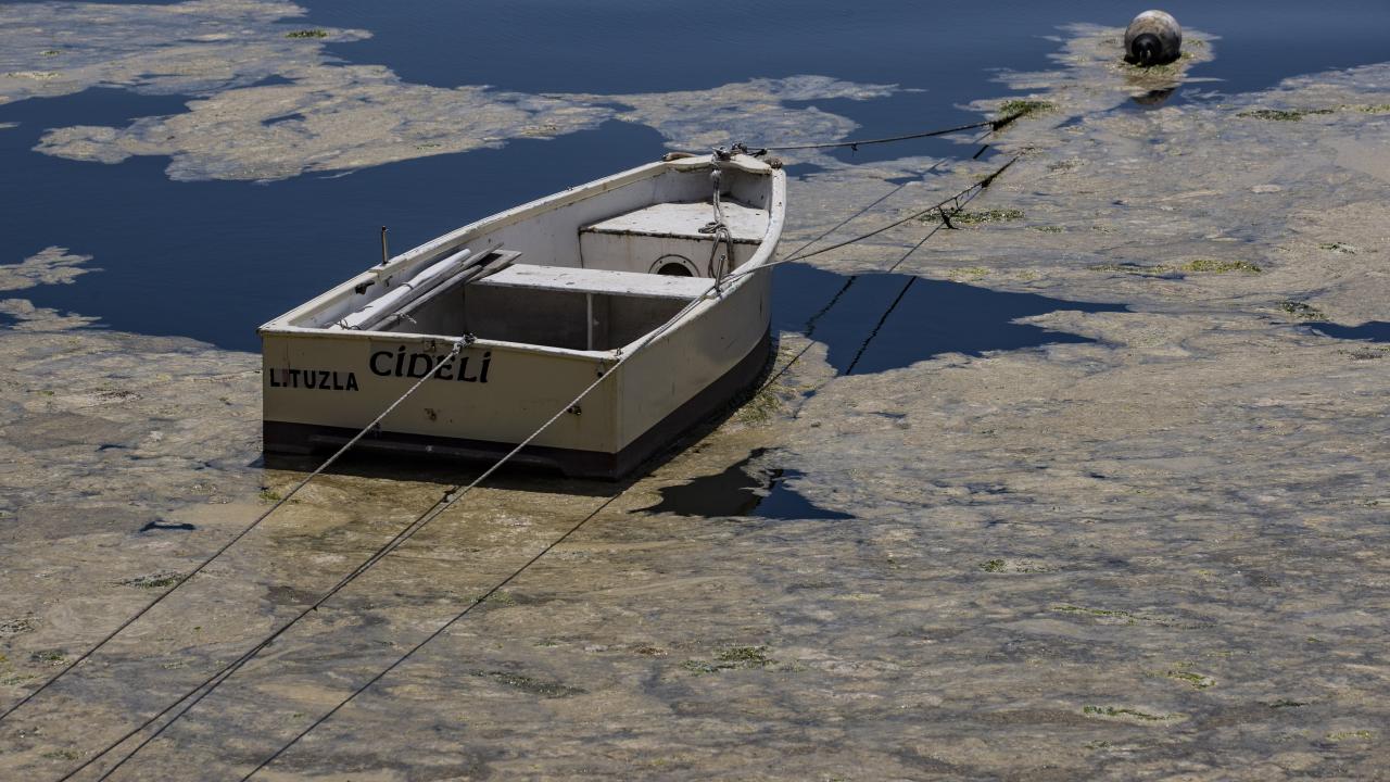 "En fazla 1-2 ay içerisinde ortadan kalkacaktır"