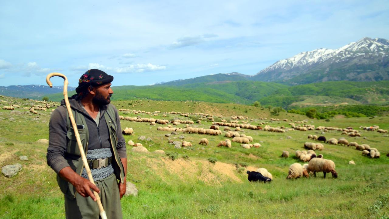 30 gün süren zorlu yolculuk
