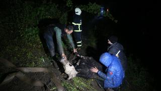 Dere yatağına düşen inek 3 saat çalışma sonunda kurtarıldı