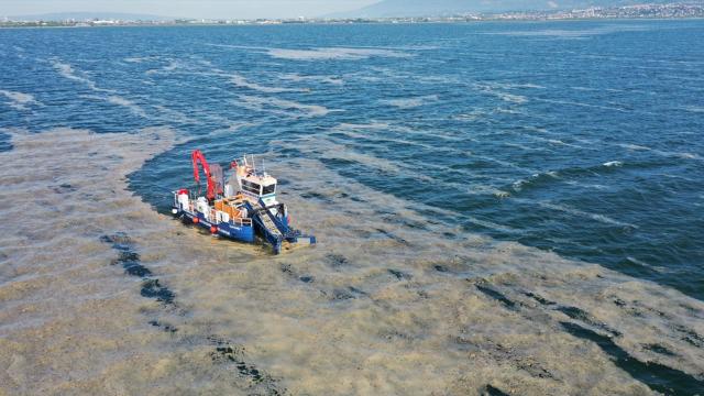 38 günde 100 ton deniz salyası temizlendi